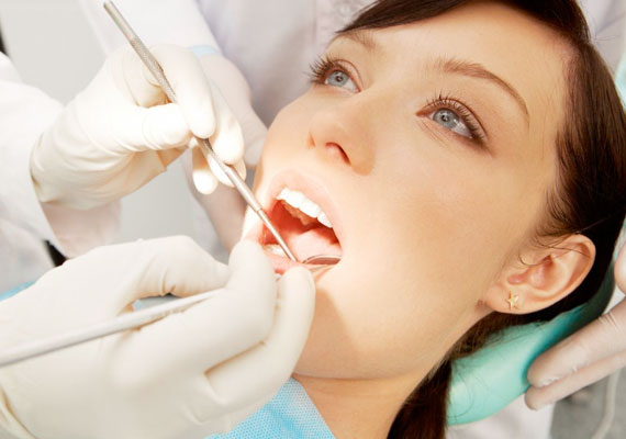 Services Dentists