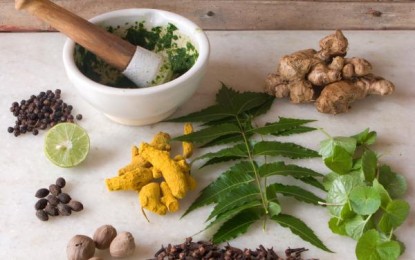 Treatment of Chronic Diseases makes Ayurveda More Popular