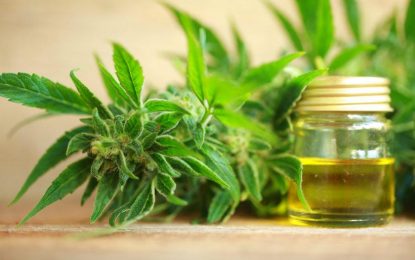 When to Feel the Effects of Cannabidiol and for How Long
